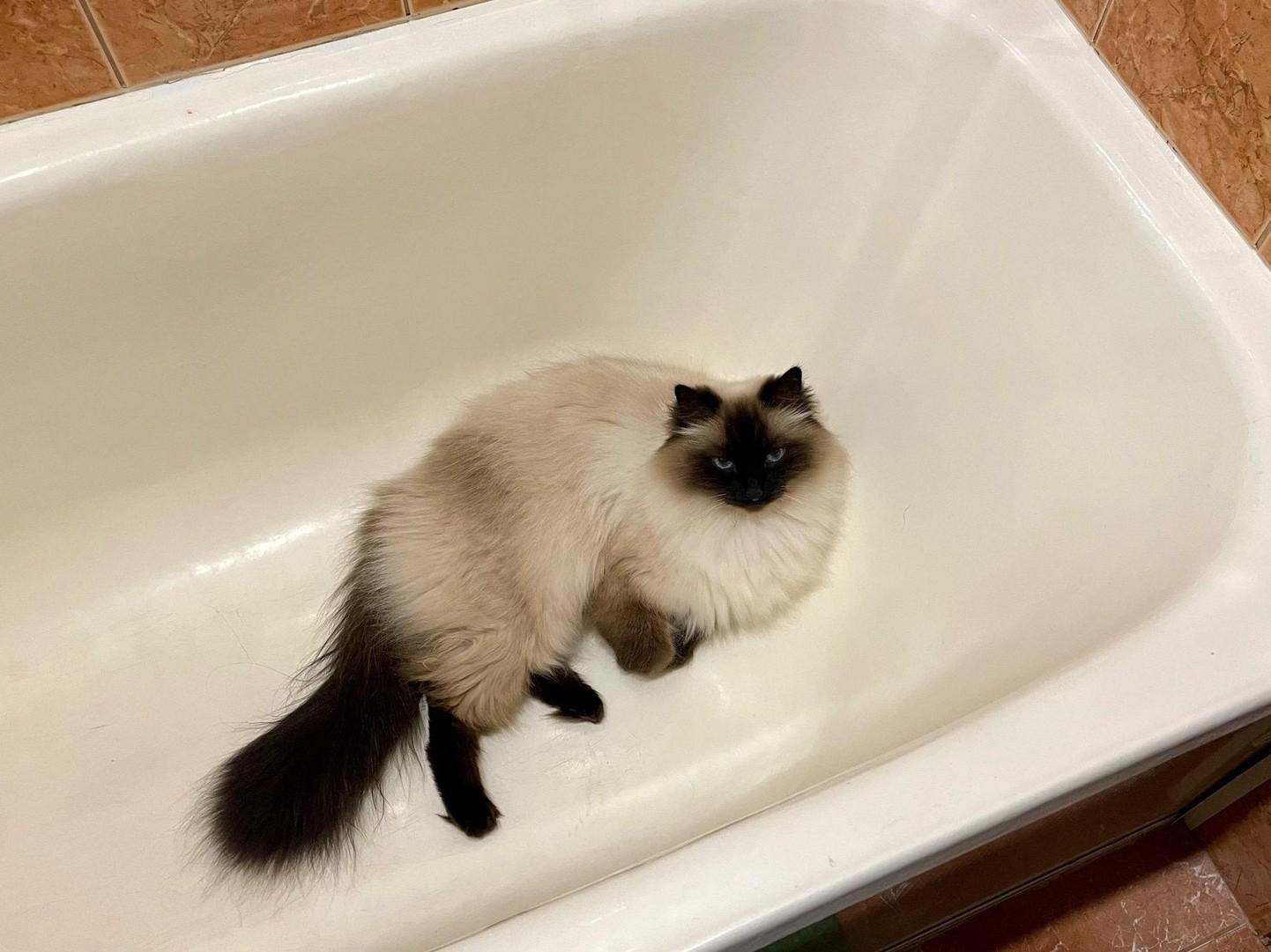 Отключения холодной воды пройдут в пяти районах Перми с 22 марта по 2 апреля