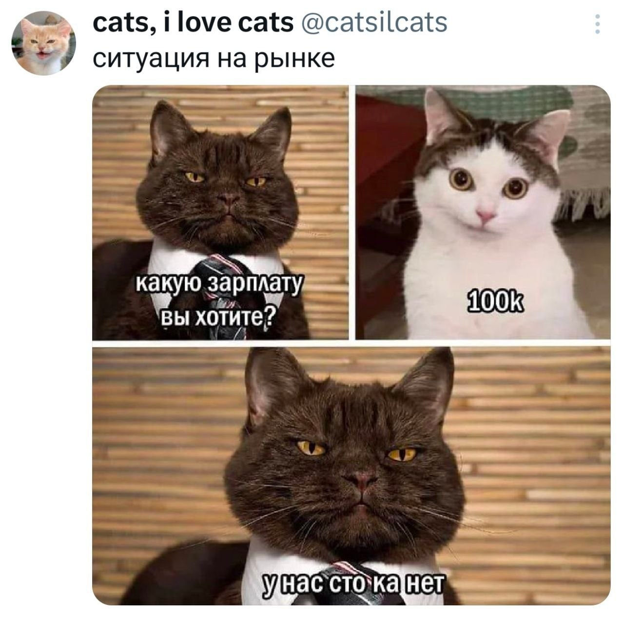 U9gSr_4hU7sLenw6Aom8ocGoeDmRcIhcZJlnCEswz99NWZmvj_DhsG2qnW6E0NbK1vUSJdjyKCC04IJAK1zSlVFc.jpg