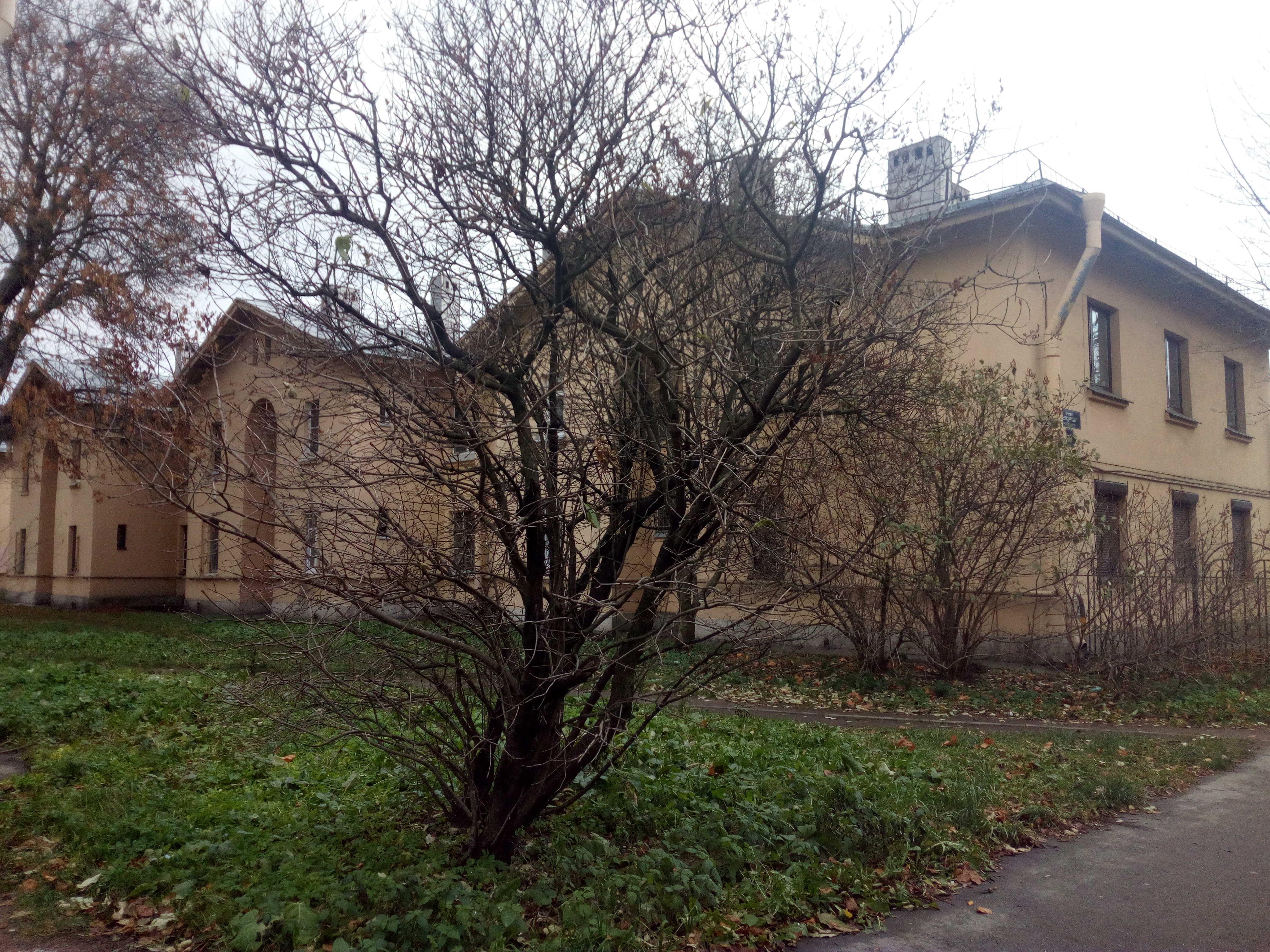 Елизарова 8к3.jpg