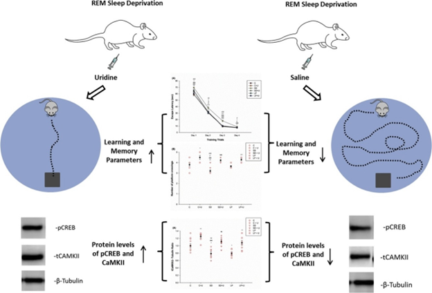 Изображение из документа