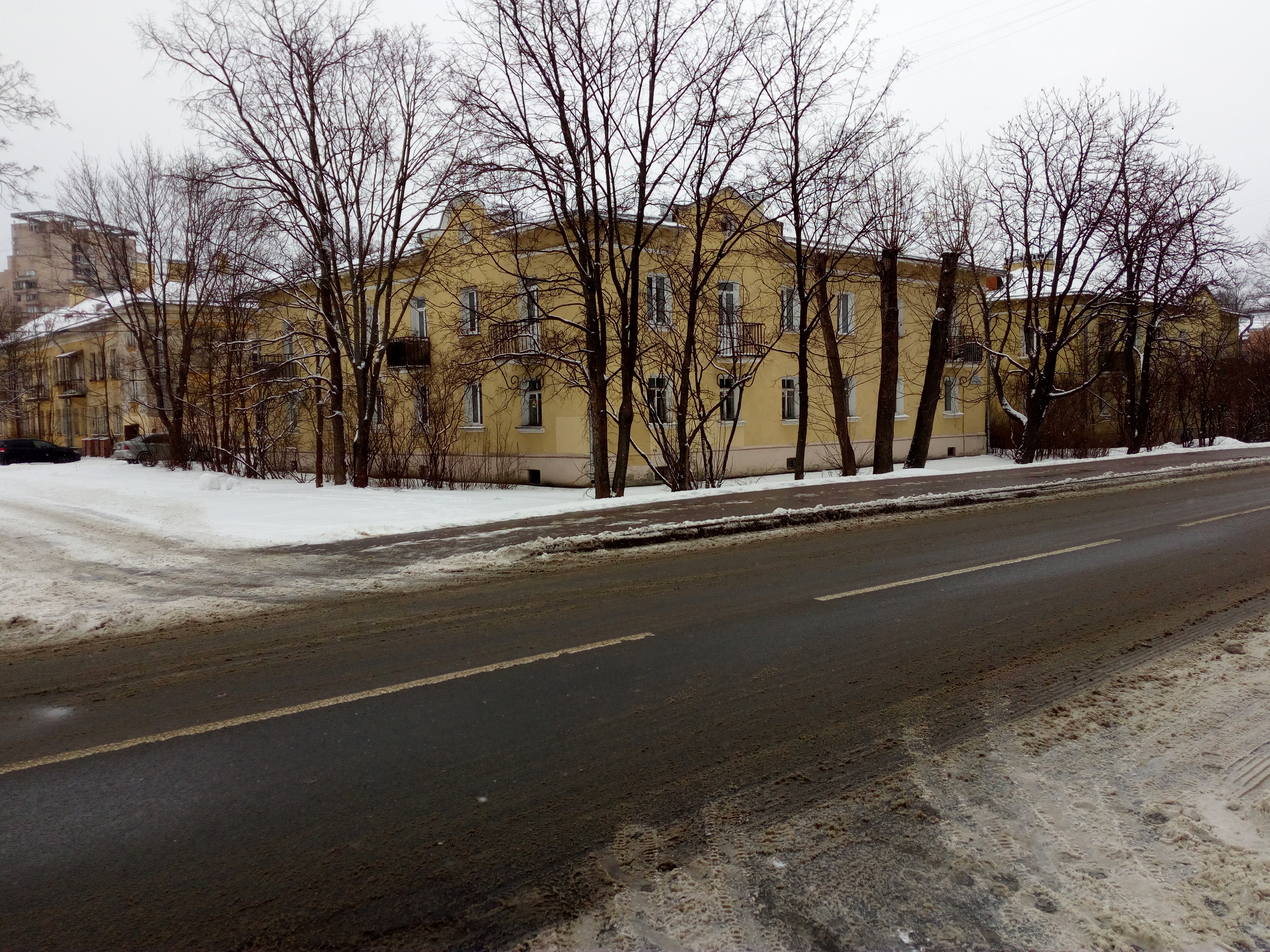 Сестрорецк, Борисова 3_2.jpg