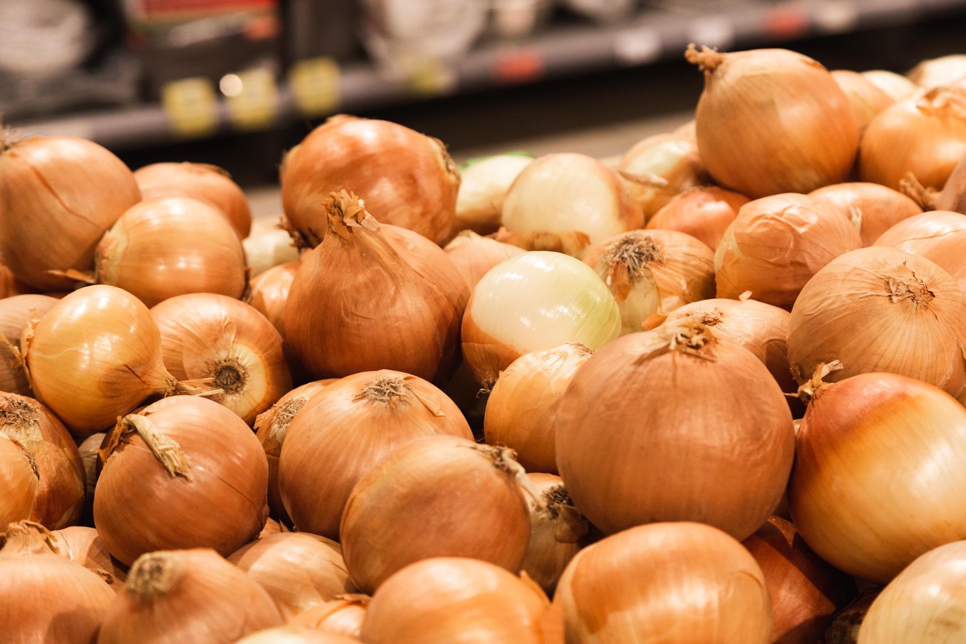 Как выбрать лук-севок в Пермском крае: советы агрономов по покупке и хранению