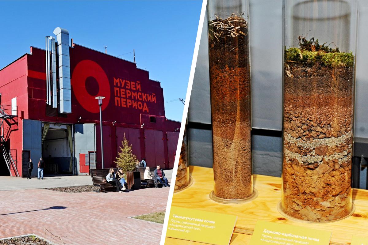 На Заводе Шпагина открылся новый Детский музейный центр с «путем червя»