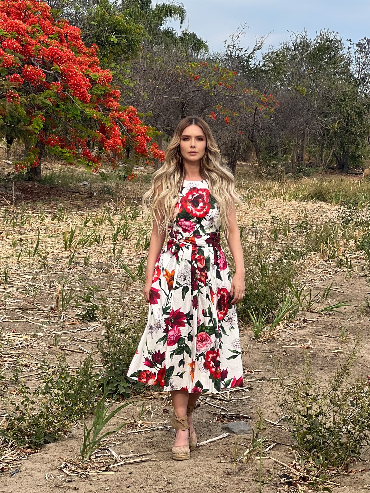 marlenefavela_1776283488820.jpg
