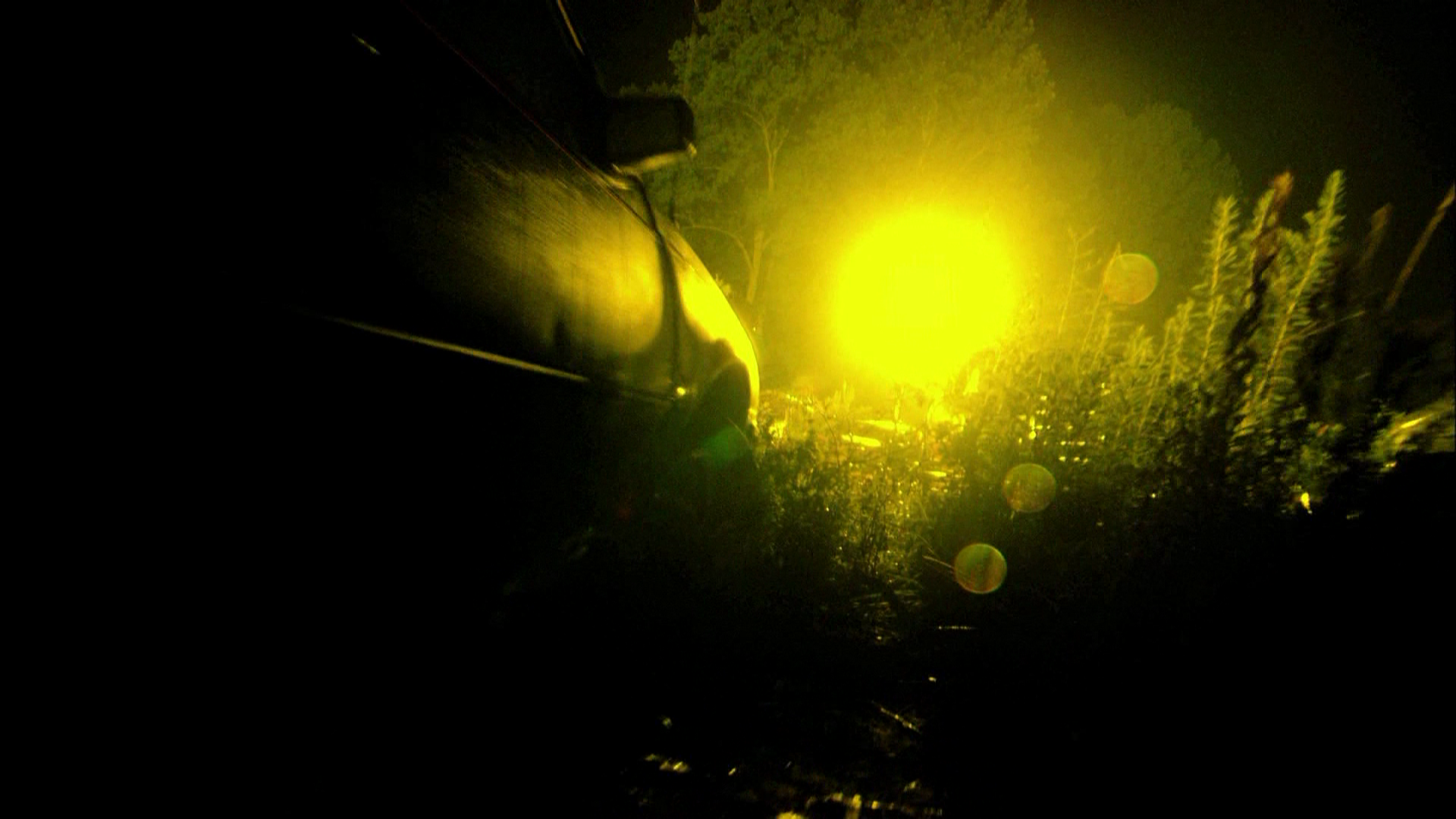 Junkyard.Dog.2010.Euro.Video.BDRemux.1080i.mkv_20260418_084533.137.png