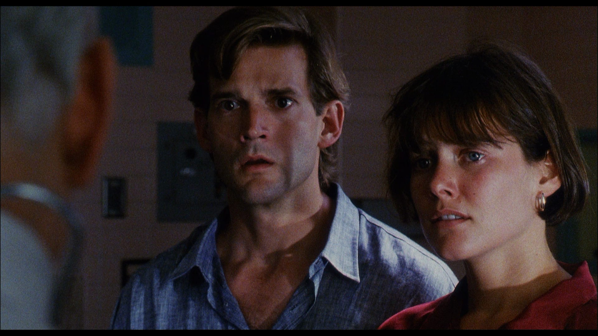 The.Guardian.1990.Koch.Media.BDRemux.1080p.mkv_20260419_100621.813.png