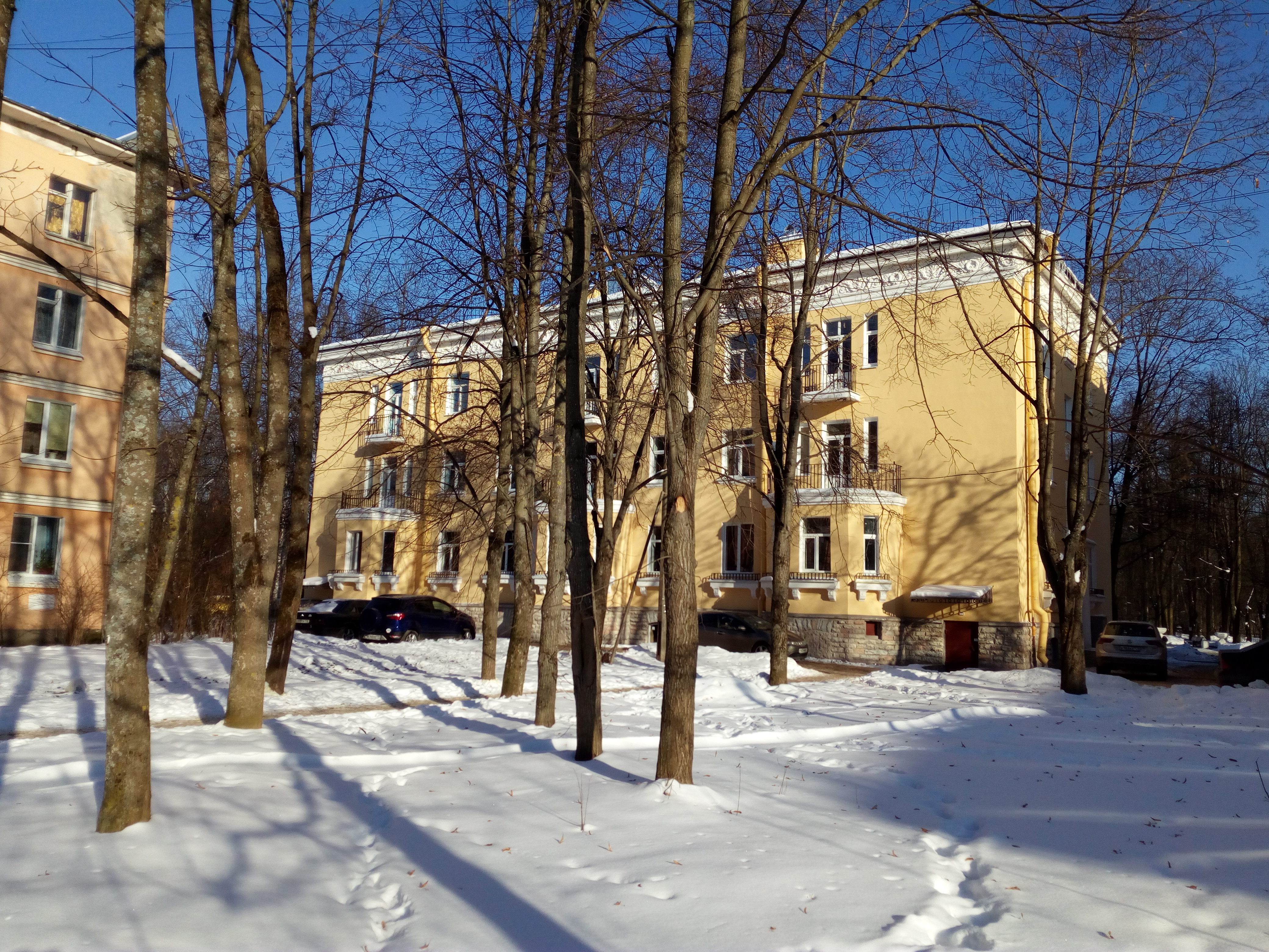 Павловск, Детскосельская 15_3.jpg