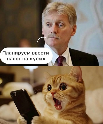 https://i2.imageban.ru/out/2026/04/30/06eee7781a9a0018cbb92d7361898af0.jpg