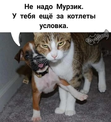 https://i2.imageban.ru/out/2026/05/01/474f7cd76576fbb9975d9be2bfacec06.jpg