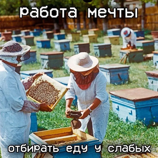 https://i2.imageban.ru/out/2026/05/01/fff53a9578e2bfc35768837bd649abfa.png