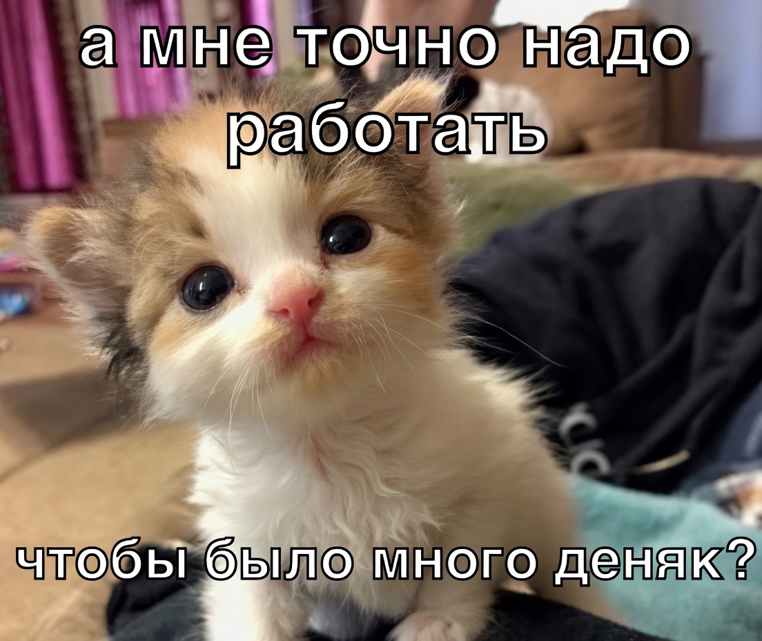 qN8mbqUo-raY6BcNc40KSSVjvLCt_NcuX5EL_pdIPzLXMjyH0G75OceW8xVbiA3mvL69Ow6BXPE-CT3SuWSwsWys.jpg