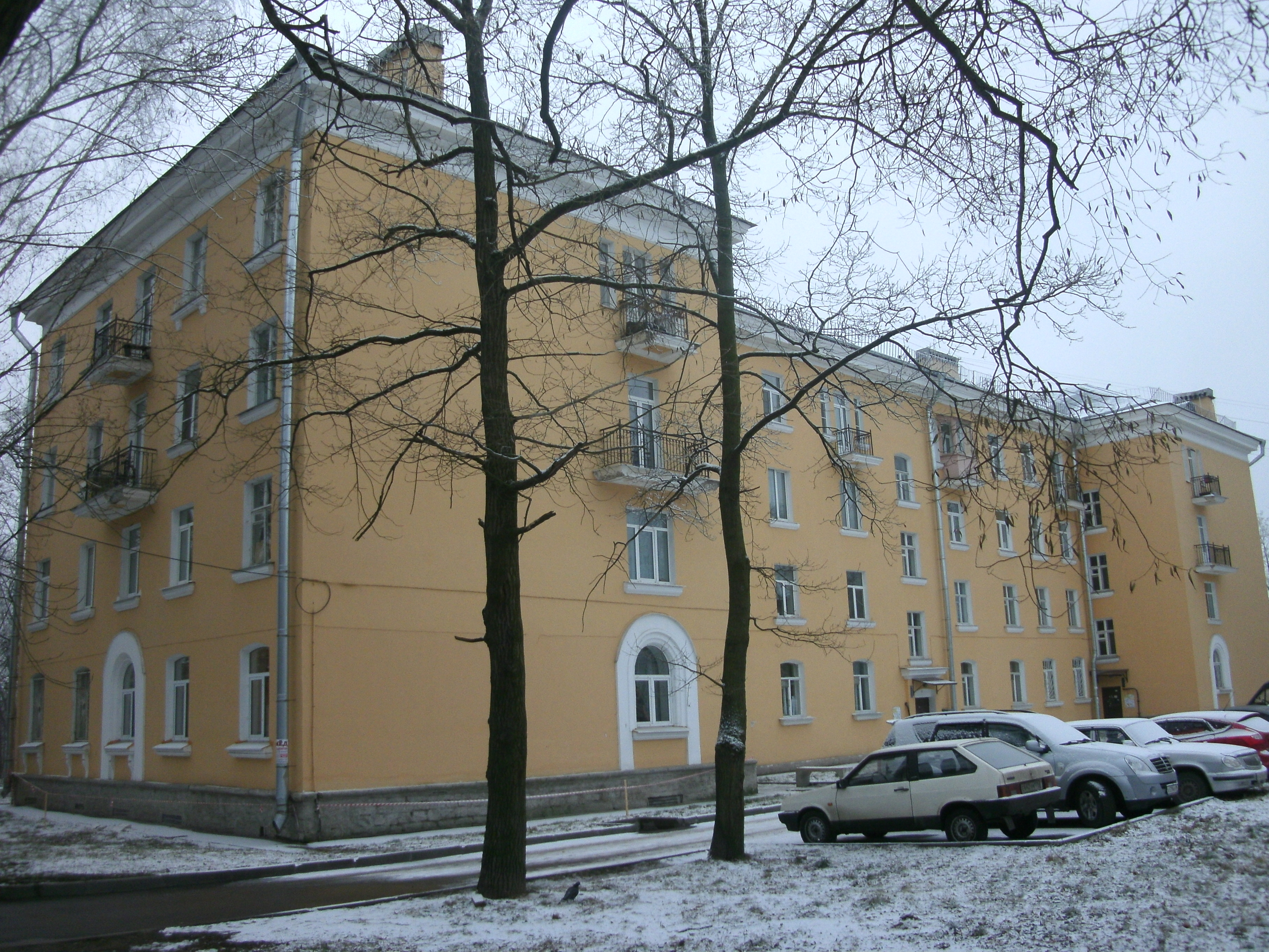 Металлострой, Пушкинская 6_5.JPG