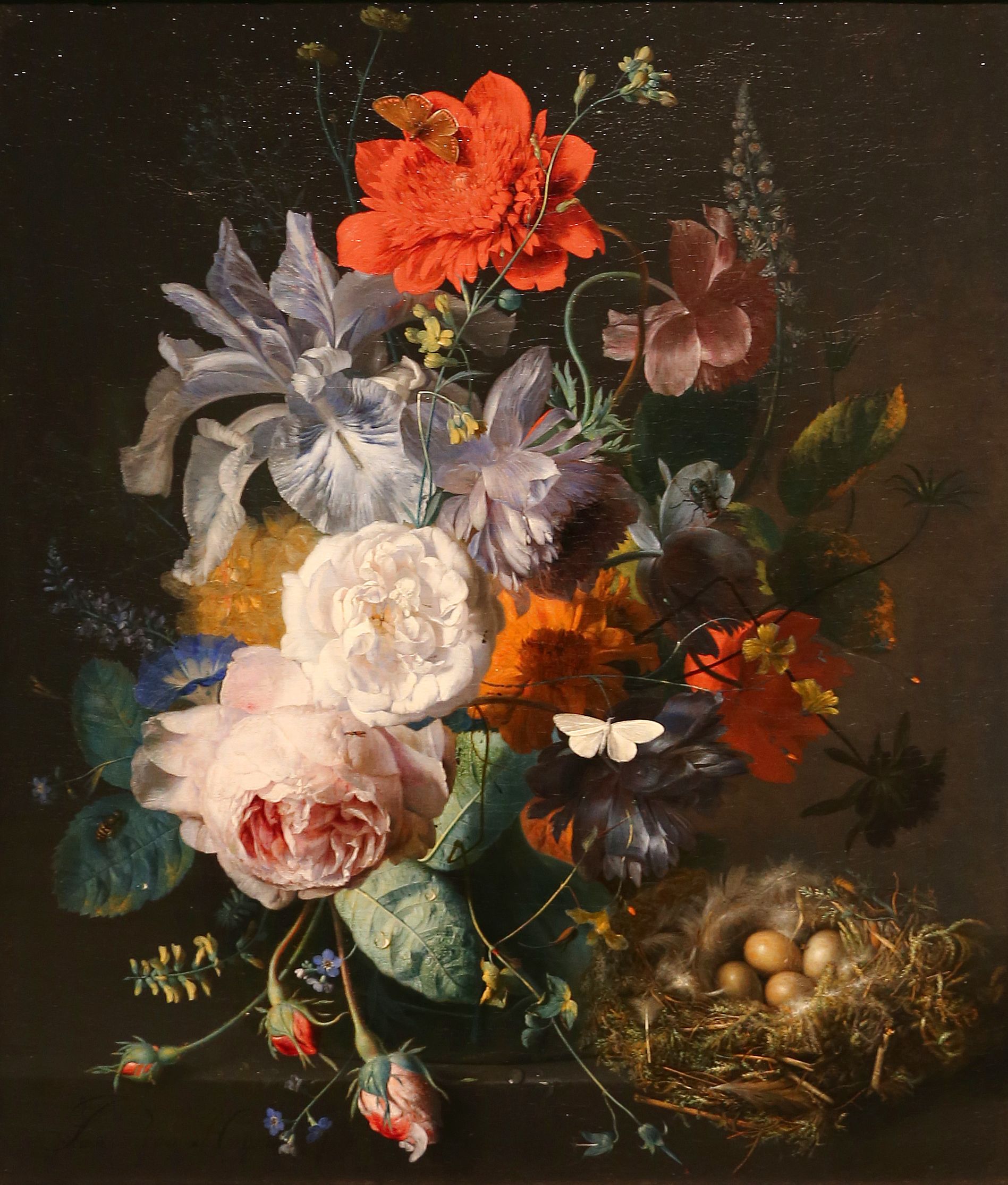 Jan_van_huysum,_vaso_di_vetro_con_fiori,_tra_cui_un_papavaero,_e_un_nido_di_fringuello,_1720-21_ca._.jpg