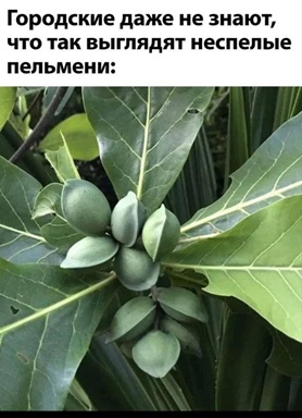 https://i2.imageban.ru/out/2026/05/09/221d388dcd84aff381d436f316835926.jpg