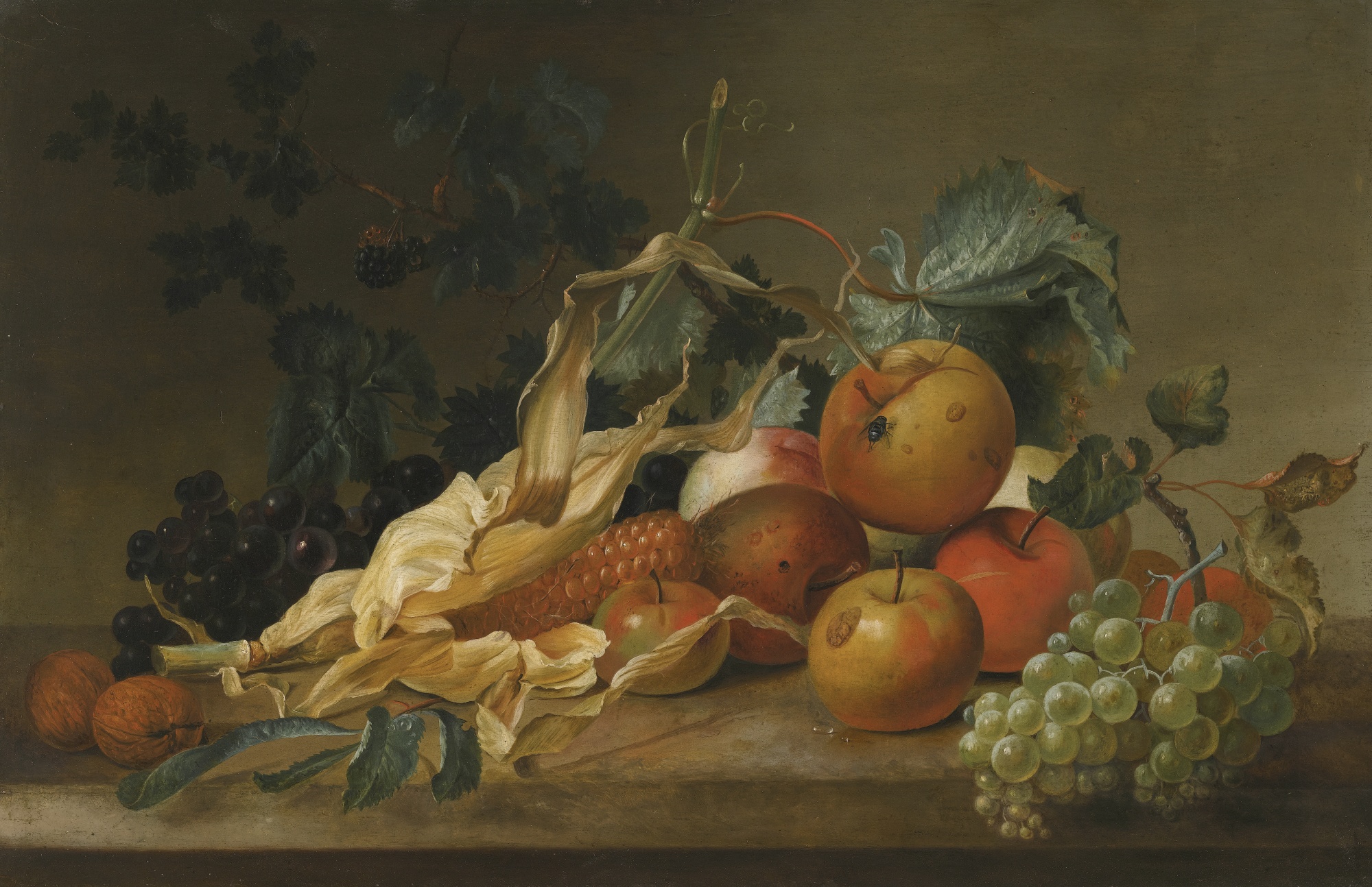 6STILL LIFE OF BLACKBERRIES, GRAPES, APPLES, SWEETCORN AND TWO WALNUTS, ALL UPON A STONE LEDGE.jpg