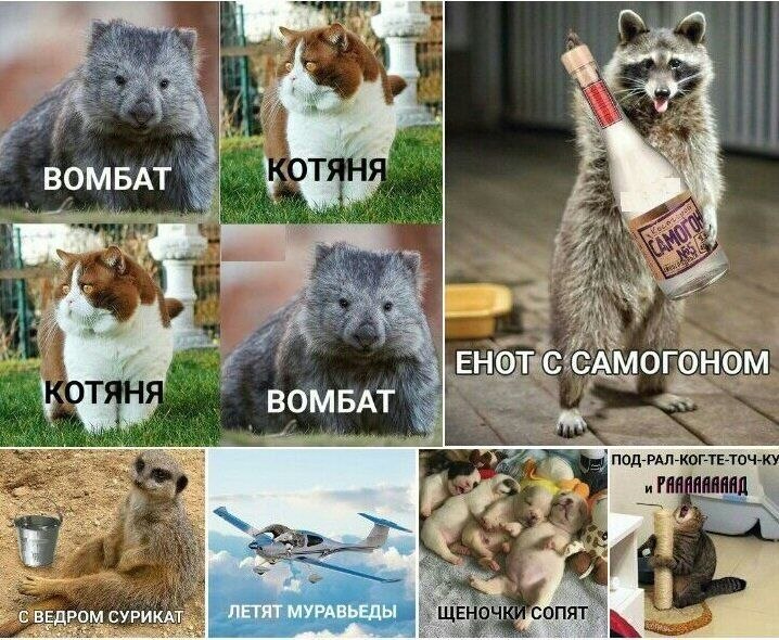 https://i2.imageban.ru/out/2026/05/09/821fe349ab1e4b8cf5cb0e9b5adcc0b4.jpg