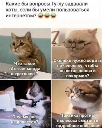 https://i2.imageban.ru/out/2026/05/09/9ae5f72fec5a0a44d9faa7d76b9ea4c6.jpg