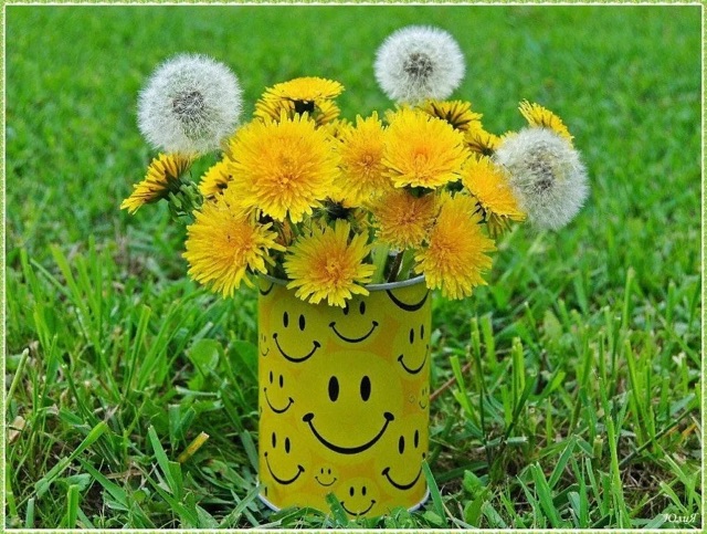 https://i2.imageban.ru/out/2026/05/13/28fe5d9b61a981f61879747e41387684.jpeg