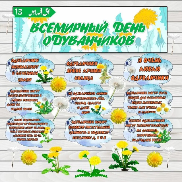 https://i2.imageban.ru/out/2026/05/13/6af66c8da0f6c0a2069536081ca56379.jpeg