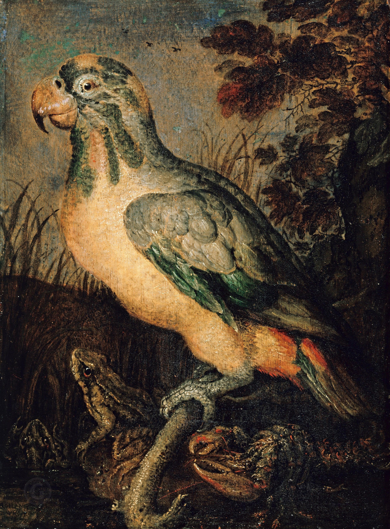 Саверей, Рулант (1576-1639) - Попугай, лягушка и рак.jpg