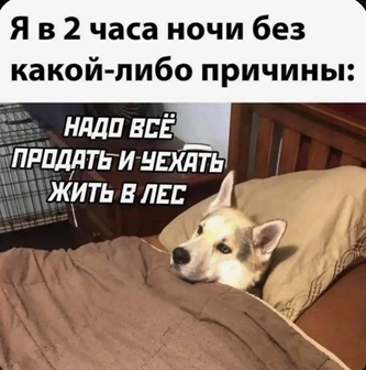 https://i2.imageban.ru/out/2026/05/16/12b7a022ff70ffb8d908a34711c43a13.jpg