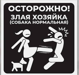 https://i2.imageban.ru/out/2026/05/17/94c3d717a35cb349c9f1226e0cfb1eea.jpg