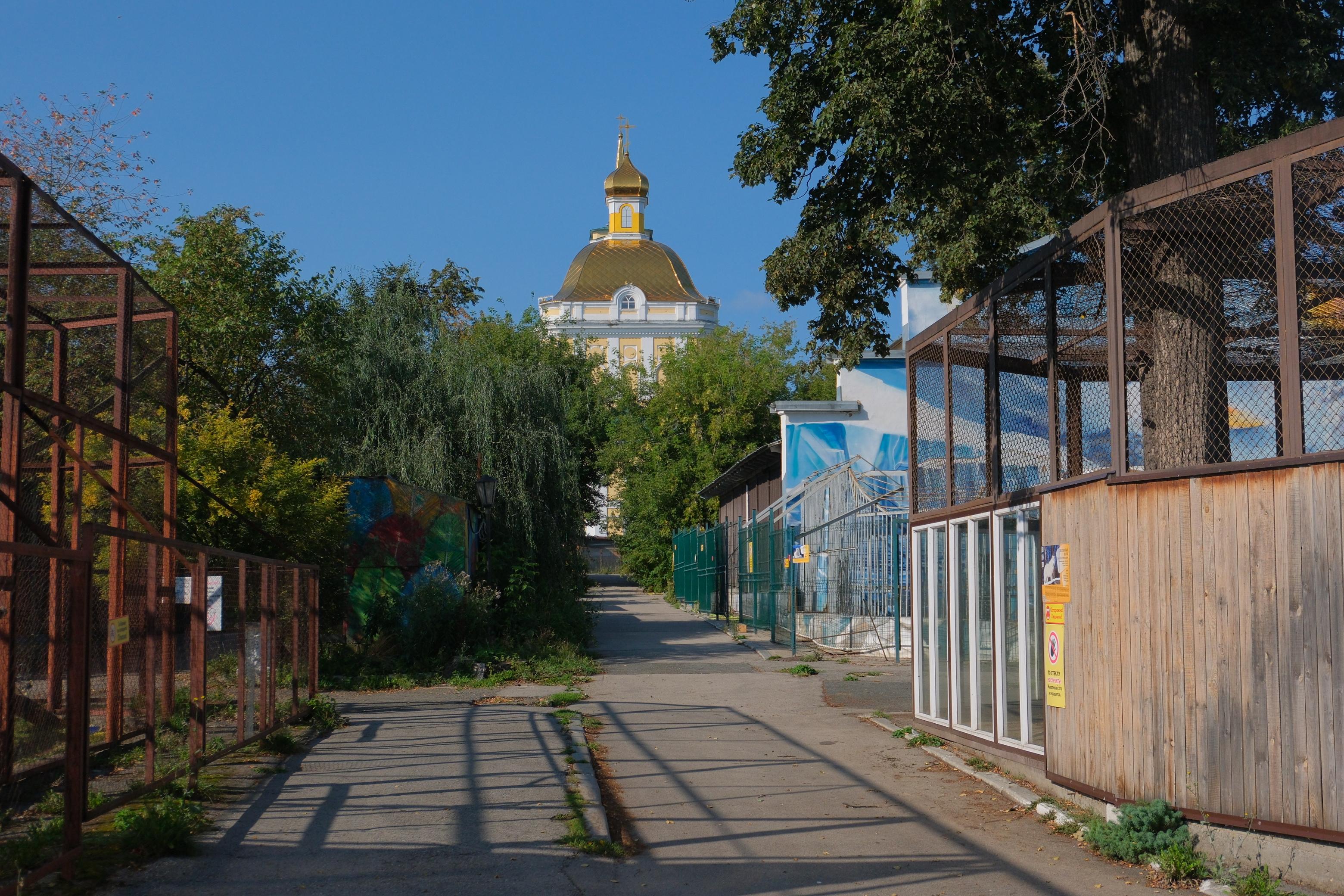 На месте зоопарка в Перми нашли могилу основателя Ботанического сада Генкеля