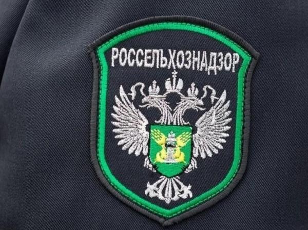 В Перми ветеринарная клиника хранила трупы животных вместе с продуктами