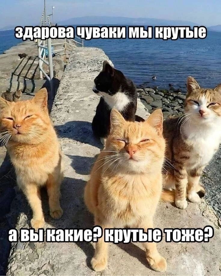 uCzsISiccO8JeUCZ7DONtfF7OBJNMaT9V5A8vpwyWom0MBOLCTv41AOW0kHOdqHIf3DrlXjGLOOeuh6xrrjCr7da.jpg
