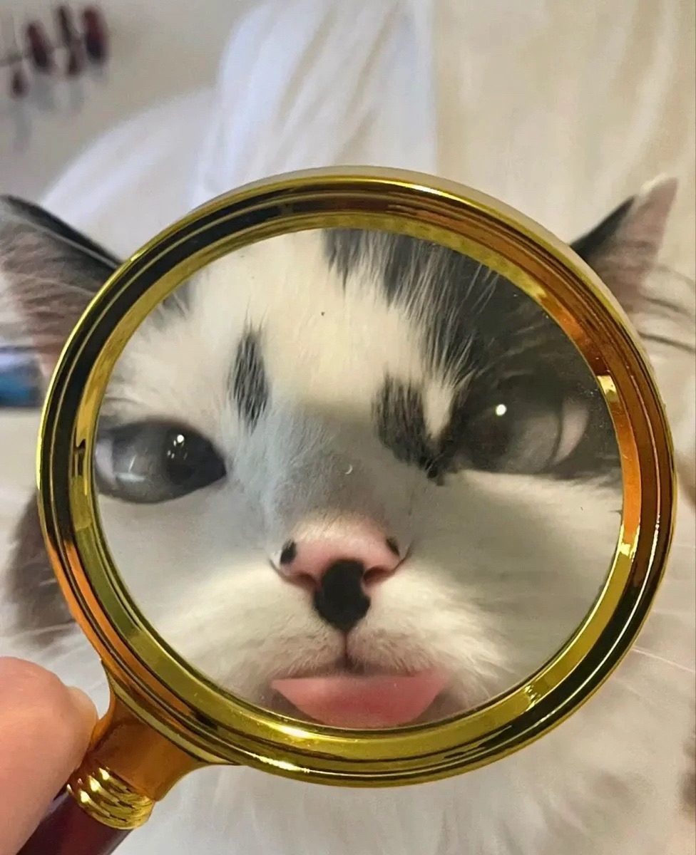 z.jpg