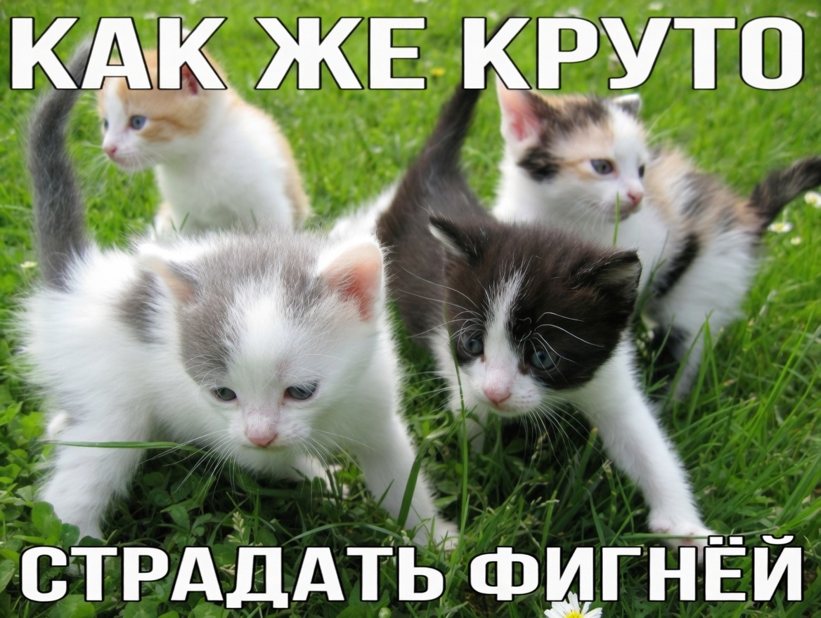 NV72MookHgkK1UU9mpDhLGbSv_79oXj4prVWfsxqBkNb_b2q_VG6y1hKF78LJacenEQKg08TpokEZee3JYdqwKTe.jpg