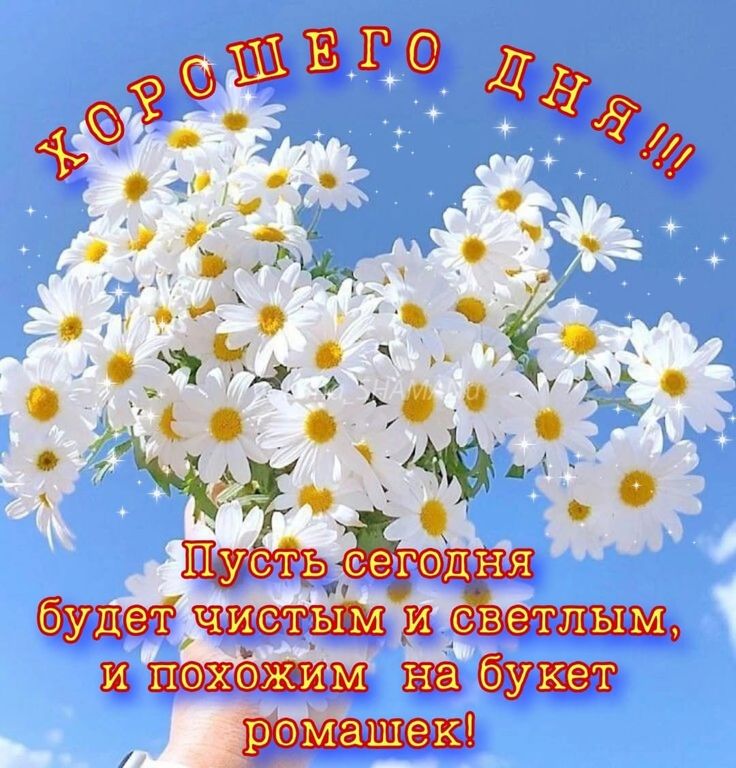 https://i2.imageban.ru/out/2026/05/23/9f45897e10c288779ad62c5c2bc47bd8.jpeg