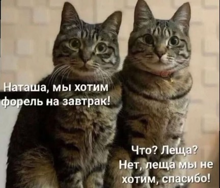 https://i2.imageban.ru/out/2026/05/23/a3ad3ed0a88942478245725c2cbfe36c.jpg