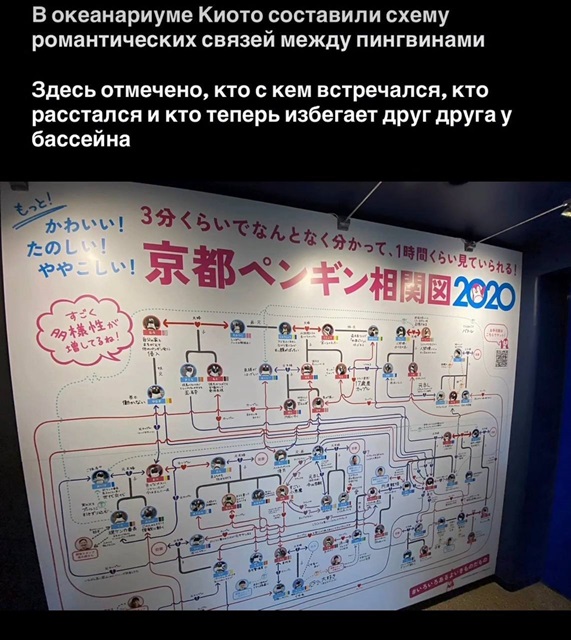 https://i2.imageban.ru/out/2026/05/23/cdcbbdf9b63694424c38d7108a49ba0a.jpg