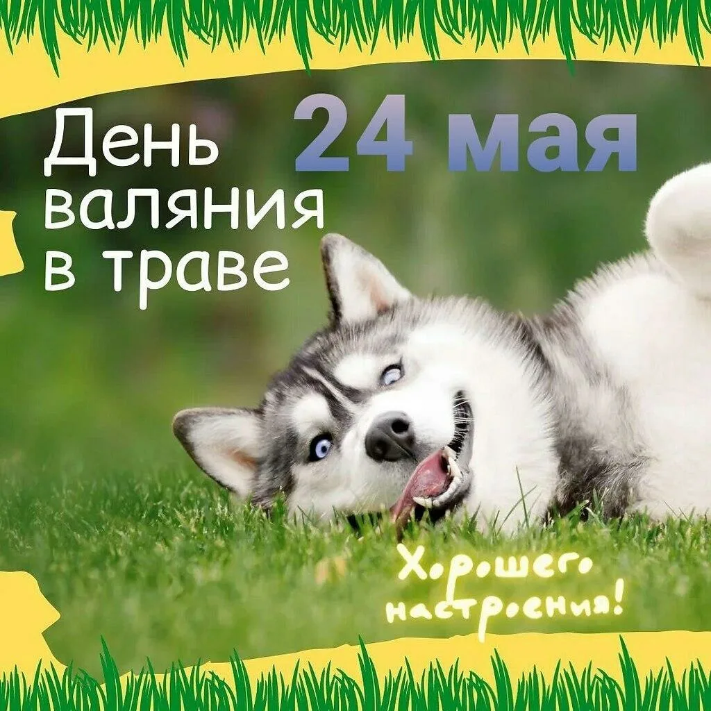 https://i2.imageban.ru/out/2026/05/24/17cd9522e9c880b84bd68b172de71c7e.webp