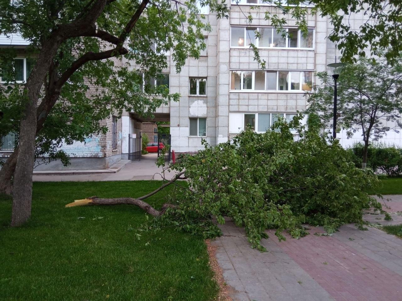 Сильный ветер повредил деревья и крыши, погибли люди в Пермском крае