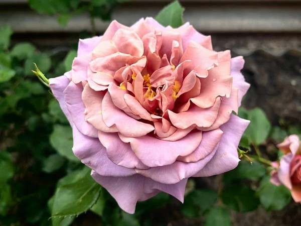 e293b946-56dc-4110-8b6c-60266c8c7a01.jpg