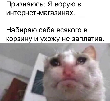 https://i2.imageban.ru/out/2026/05/29/4c90128ea3d6bfc93f07f15aa576c838.png