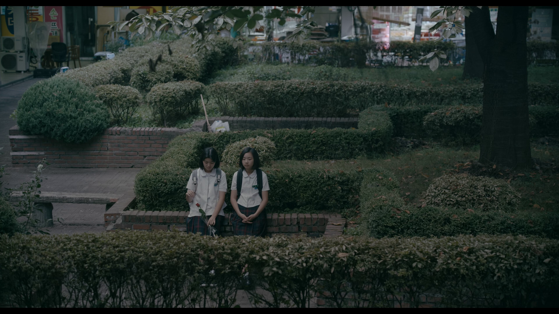 vlcsnap-2026-05-30-10h21m20s815.png
