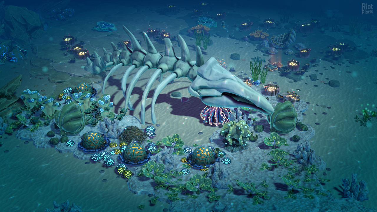 screenshot.life-below.1280x720.2026-05-27.30.jpg