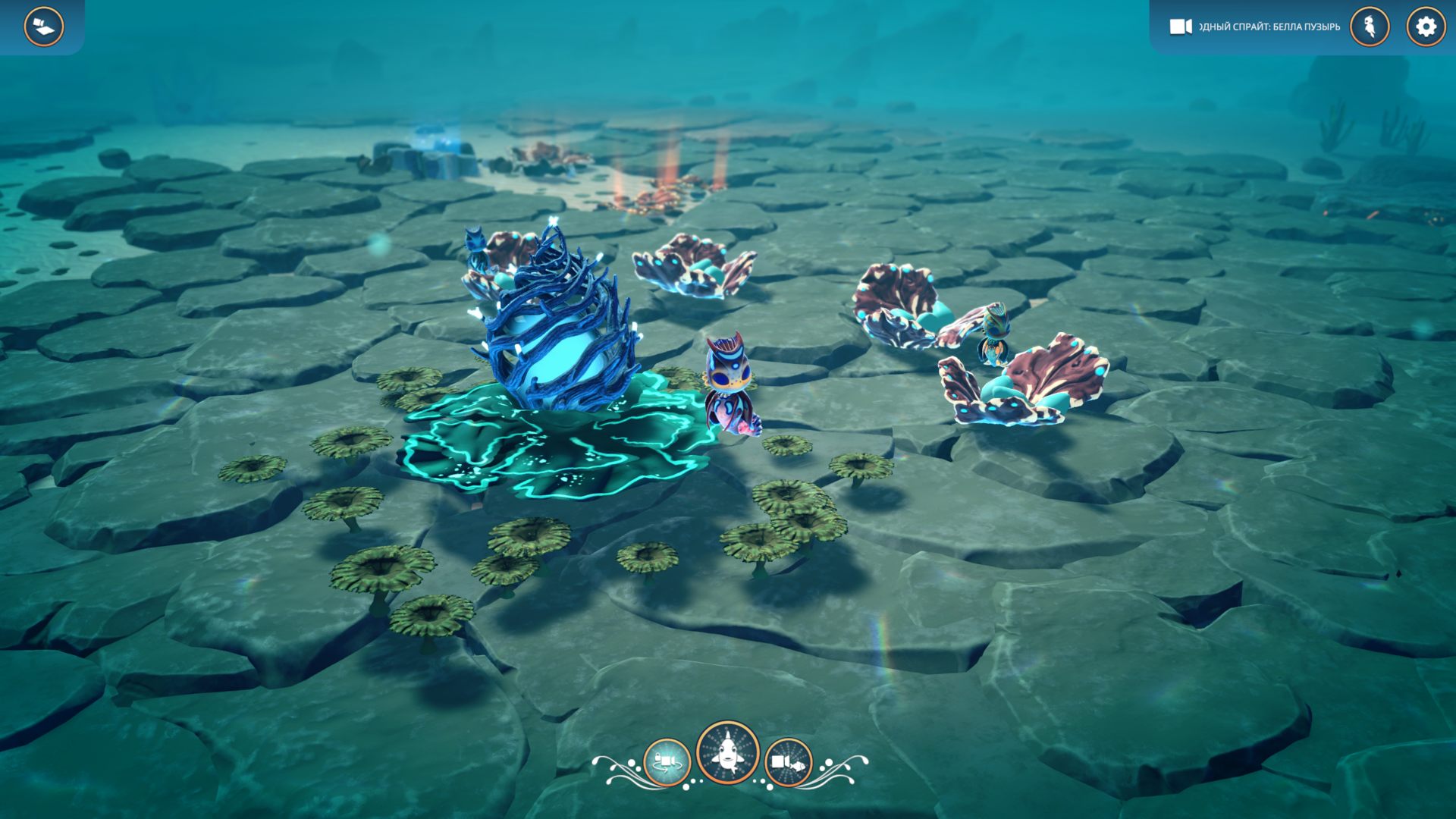 LifeBelow_4369.png.jpg