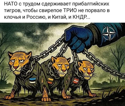https://i2.imageban.ru/out/2026/06/07/e9353055e36148e3b2394567531fa1f9.png