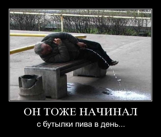 a8dc42d2cc9f390a77b6be5eee9292e7.jpg