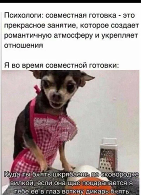 https://i2.imageban.ru/out/2026/06/10/5a37ffb13194a1cffad6cdd6f885115d.png