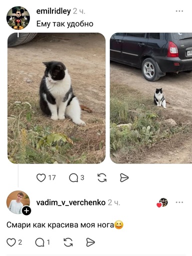 https://i2.imageban.ru/out/2026/06/11/0bbf7e1757da0dc7b3ea6db14baaa63b.jpg