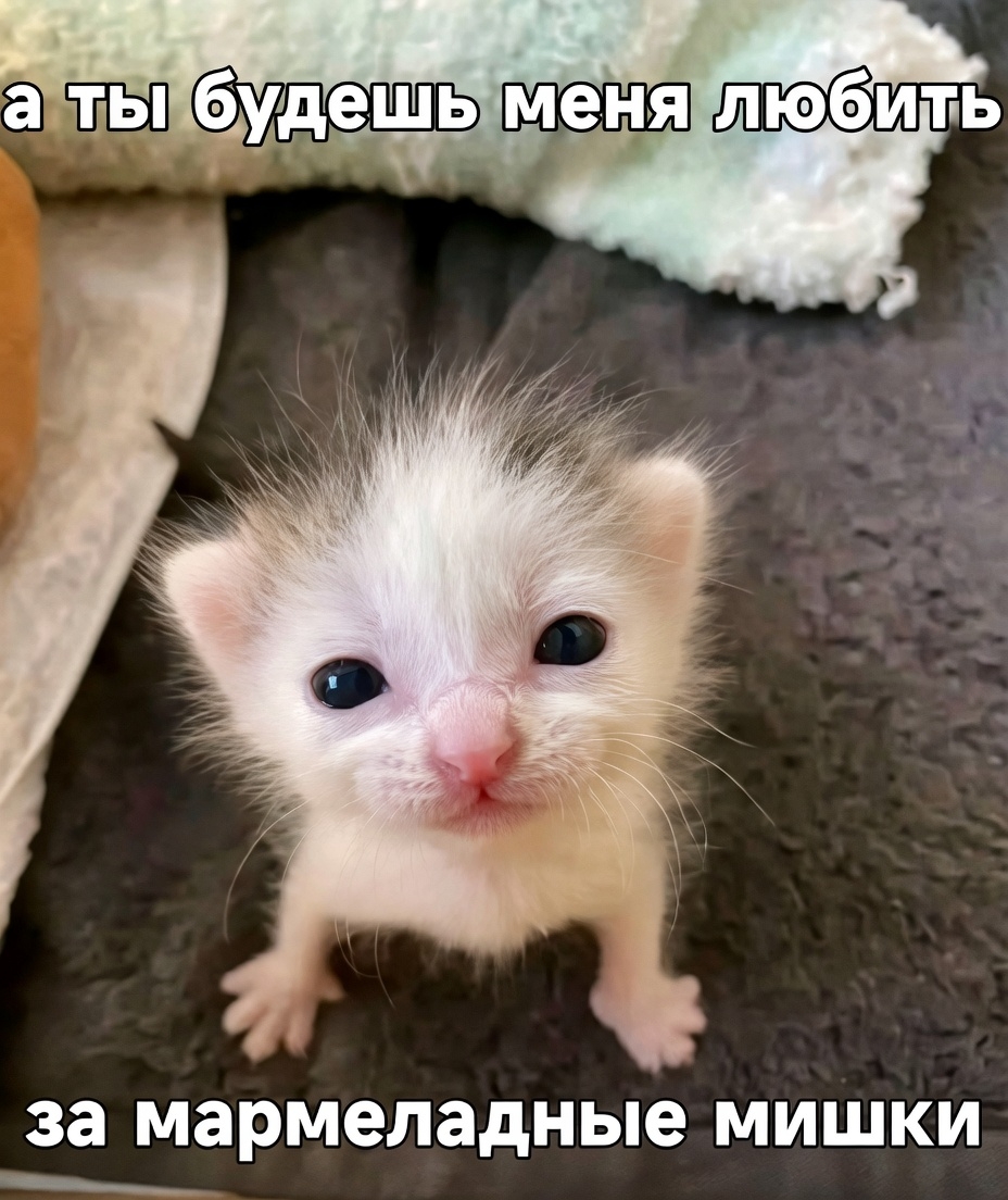 пфшваомжфывоаи.jpg