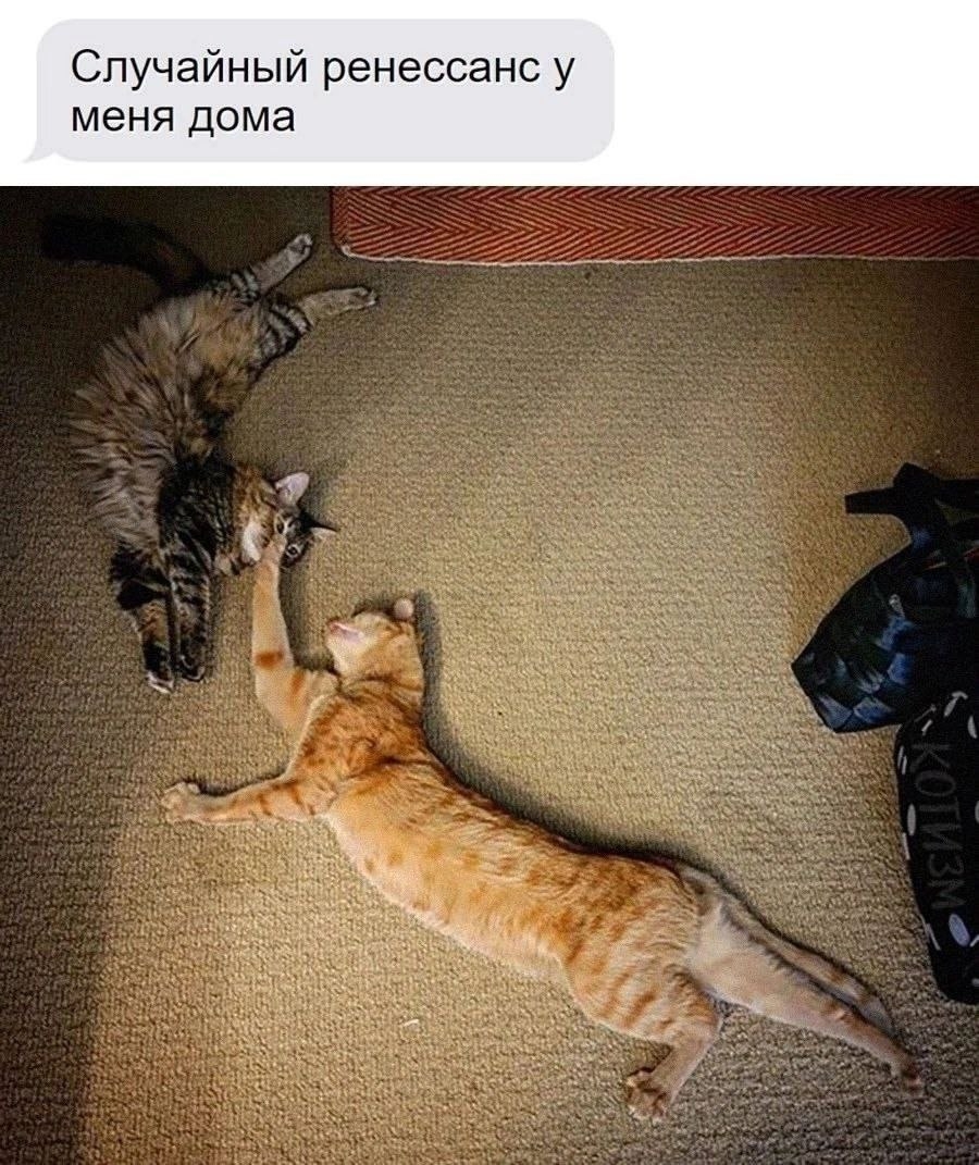 п3Hbo-.jpg