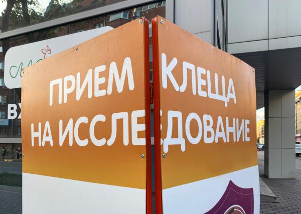 В Пермском крае более 280 тысяч человек получили прививки от клещевого энцефалита