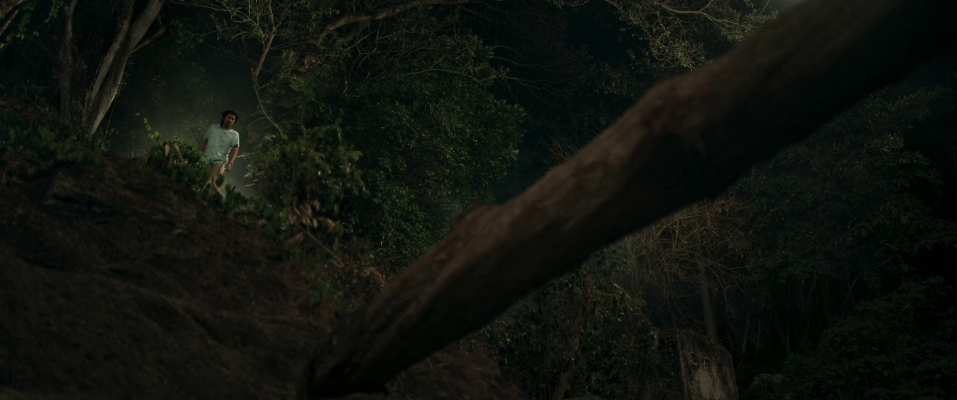vlcsnap-2026-06-19-22h57m17s428.png