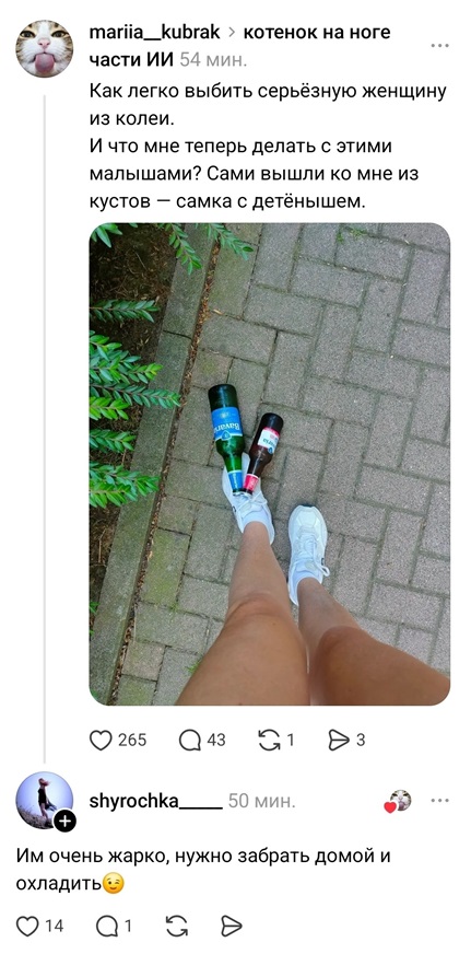 https://i2.imageban.ru/out/2026/07/02/7b9020b331434bd36d56bbdd98116111.jpg
